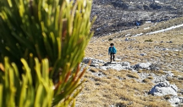 Hiking tour to the M.t Kamesnica from Split